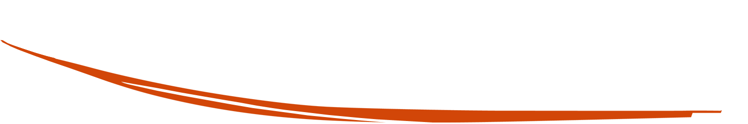 Bright Orange