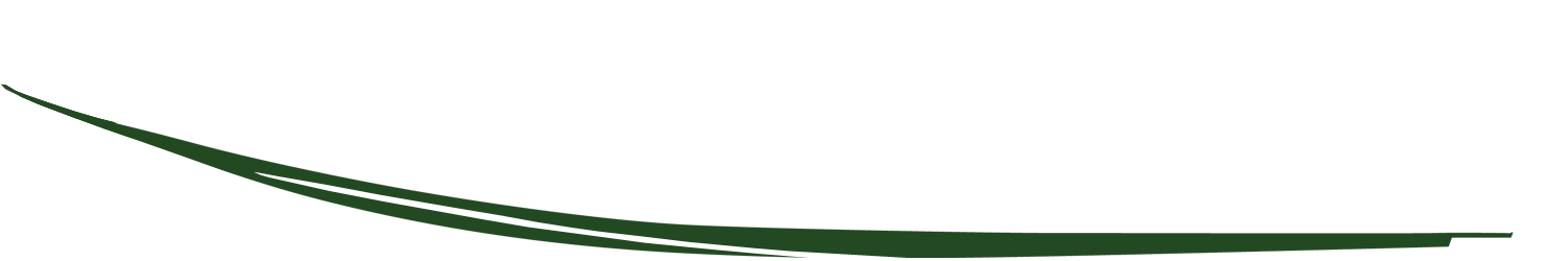 Brilliant Green