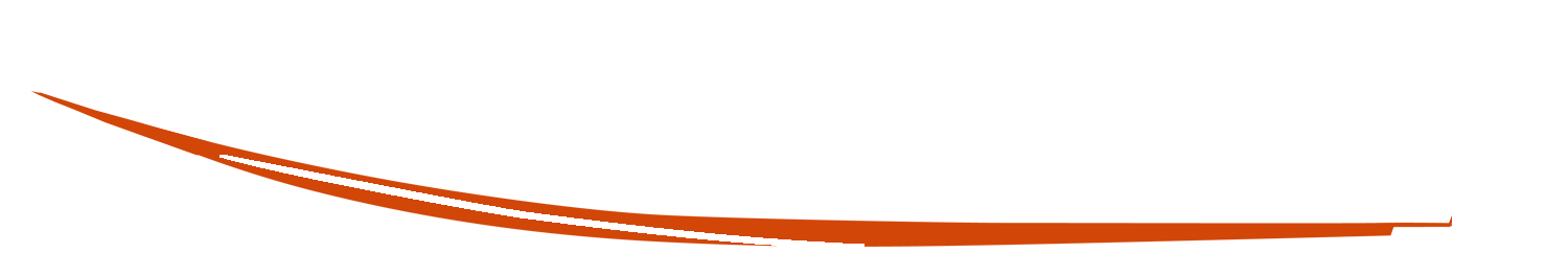 Bright Orange