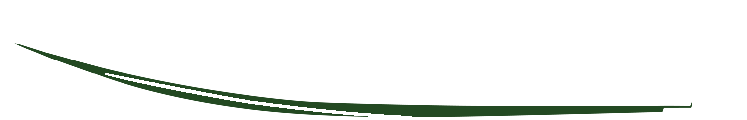 Brilliant Green