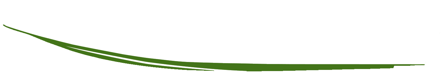 Andrag Green